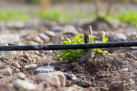 Farmstead Water Conservation Tips Image